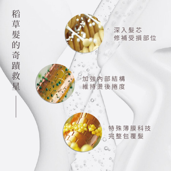 Gurosu 極潤光感 燙護結構式護髮 完美維持捲度 日本原裝